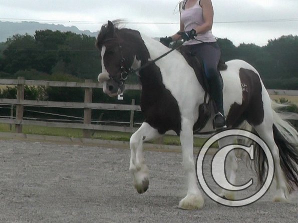 08-03-2015_084854(4)