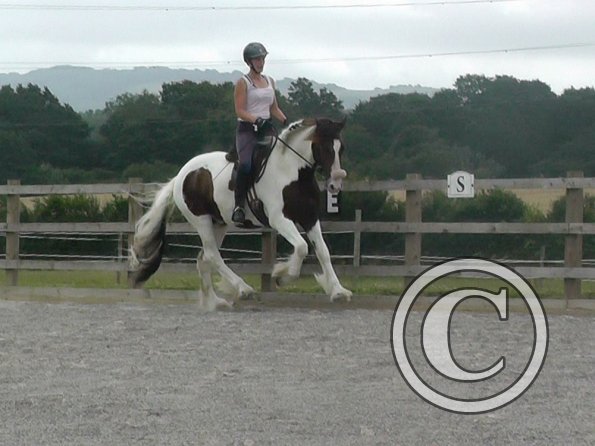 08-03-2015_084854(5)