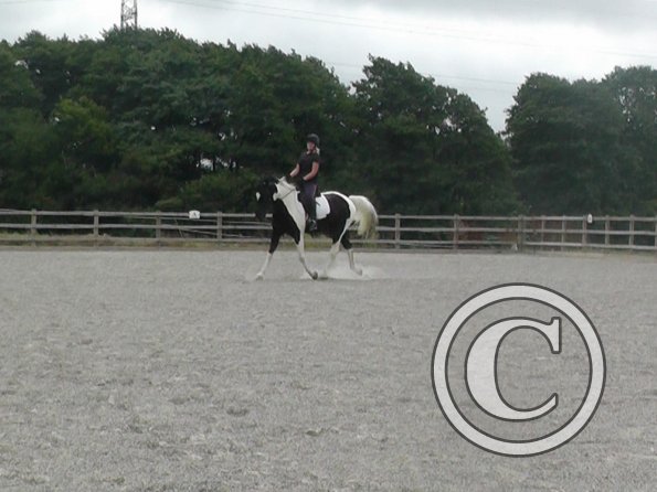 08-03-2015_084854(7)