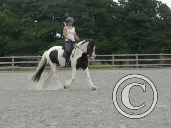 08-03-2015_090706(1)