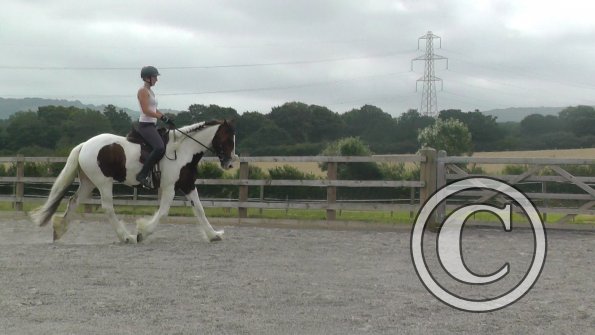 08-03-2015_090706(10)