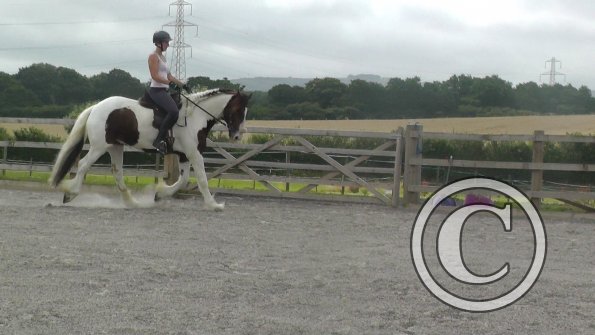 08-03-2015_090706(11)