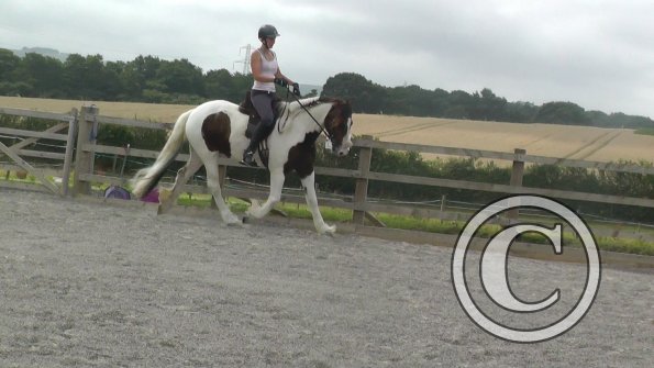 08-03-2015_090706(12)