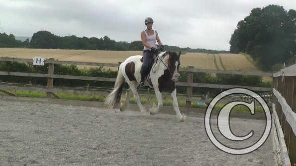 08-03-2015_090706(13)