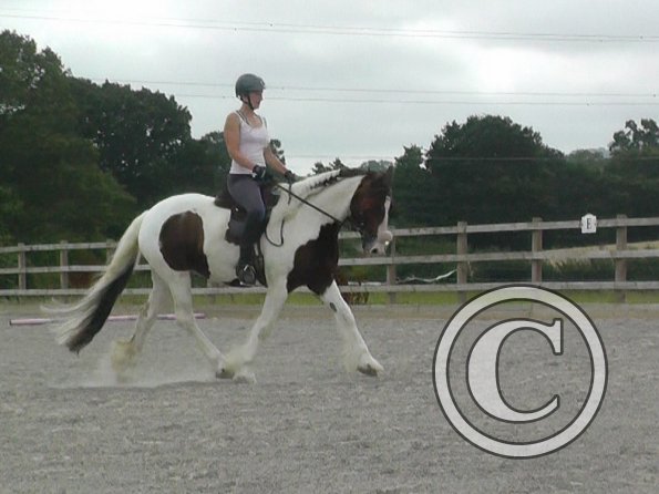 08-03-2015_090706(2)