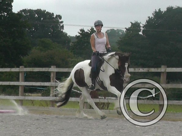 08-03-2015_090706(4)