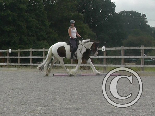 08-03-2015_090706(5)