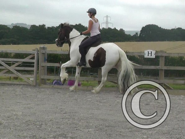 08-03-2015_090706(6)