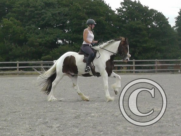 08-03-2015_090706(9)