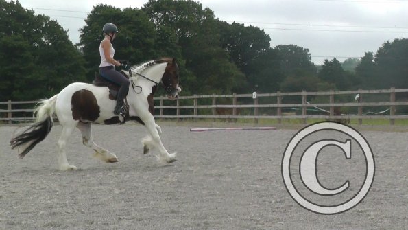 08-03-2015_091212(2)