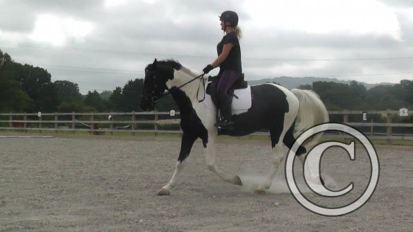 08-03-2015_091537(1)