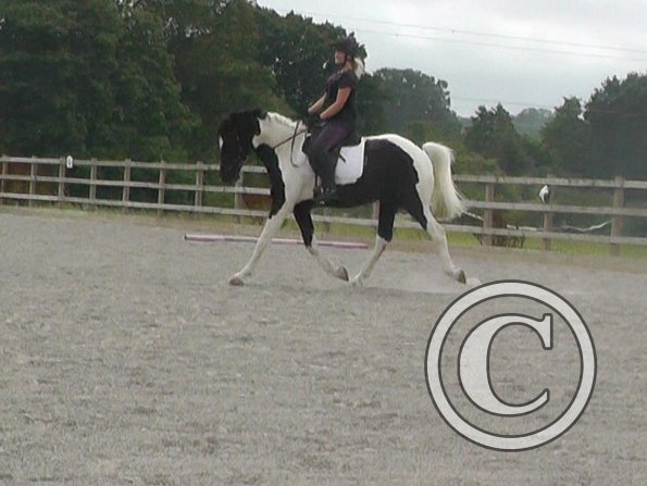 08-03-2015_091537(3)