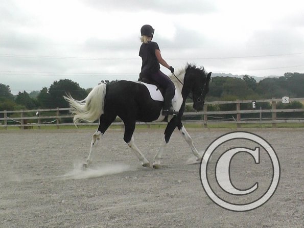 08-03-2015_091537(4)