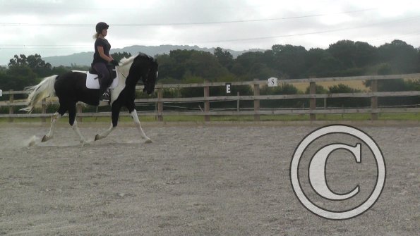 08-03-2015_091537(5)