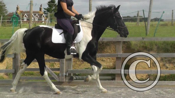 08-03-2015_091840(1)