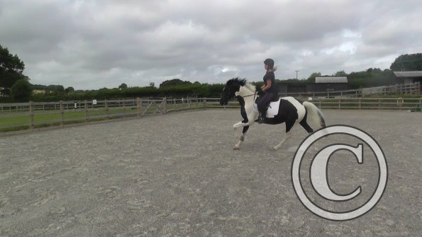 08-03-2015_091840(2)