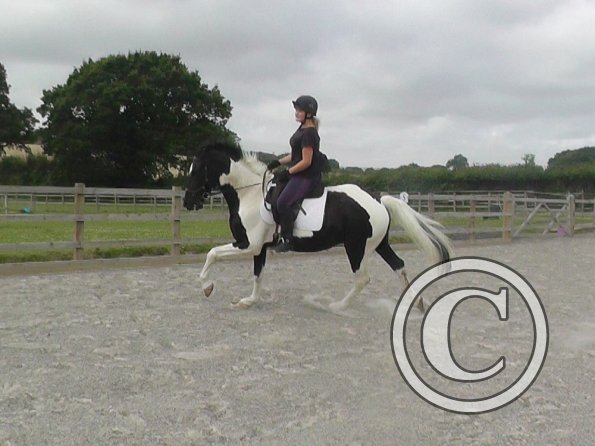 08-03-2015_091840(3)