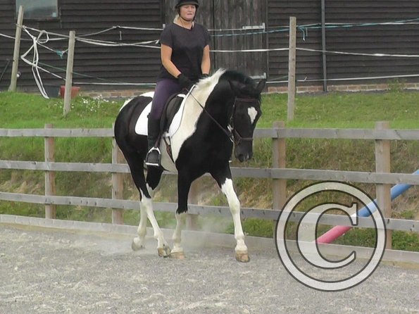 08-03-2015_091840(5)