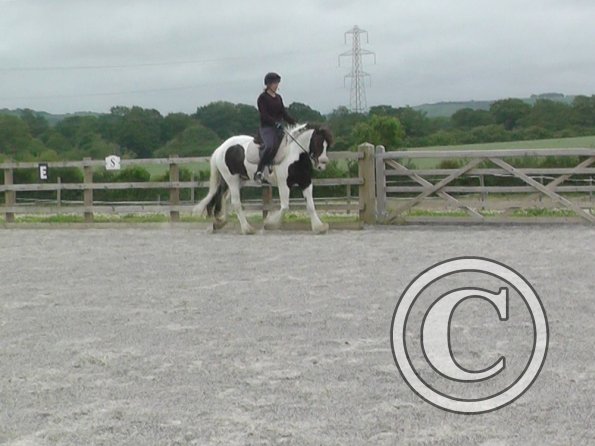 06-15-2015_090417(2)