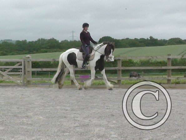 06-15-2015_090417(3)