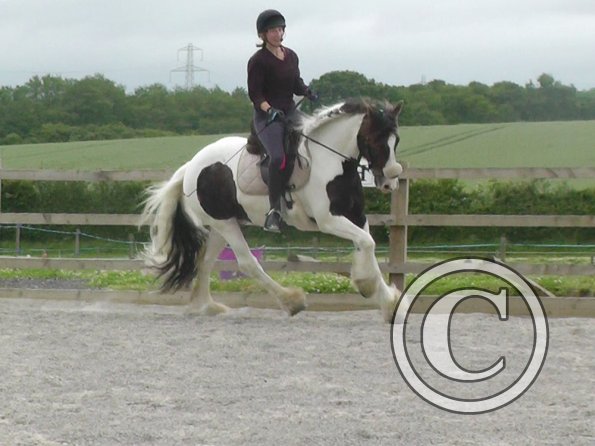 06-15-2015_091243(2)