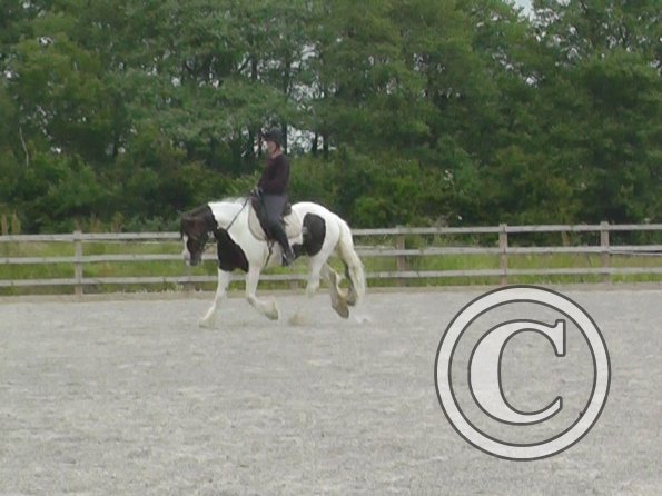 06-15-2015_091243(3)