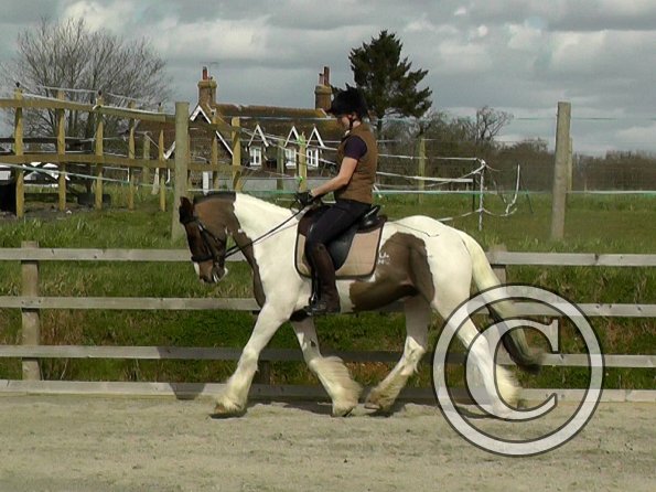 03-30-2016_111323(2)