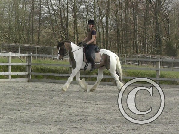 03-30-2016_111323(3)