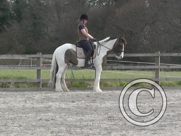 03-30-2016_111323(6)