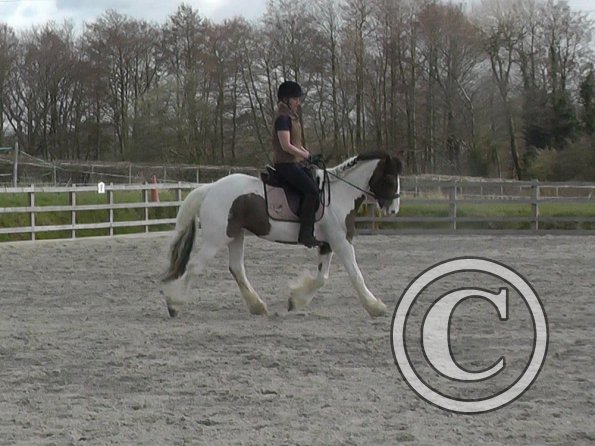 03-30-2016_111323(7)