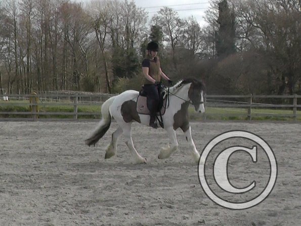 03-30-2016_111323(9)