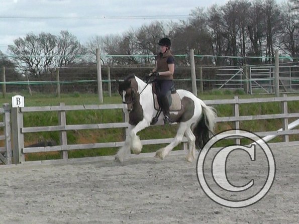 03-30-2016_112054(10)