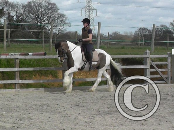 03-30-2016_112054(11)