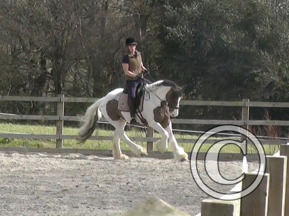 03-30-2016_112054(13)