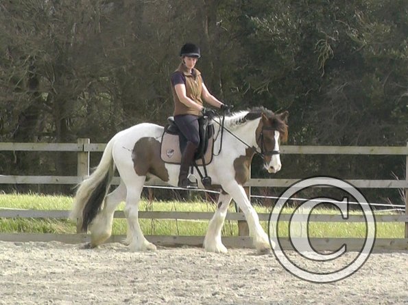 03-30-2016_112054(2)