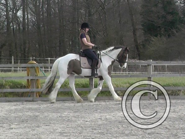 03-30-2016_112054(4)