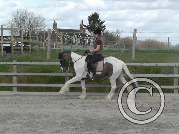 03-30-2016_112054(7)