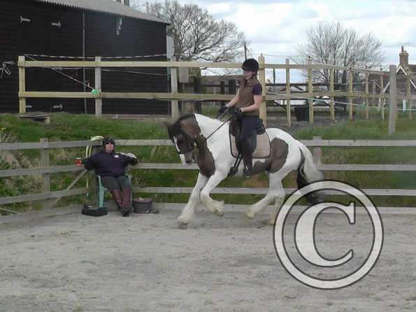 03-30-2016_112054(8)