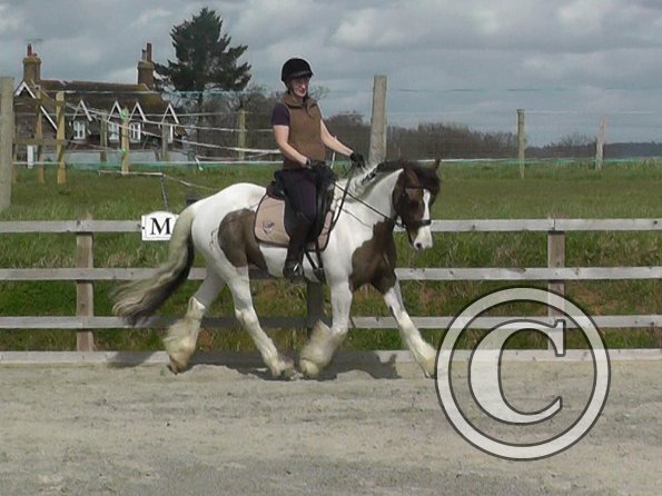 03-30-2016_113008(1)