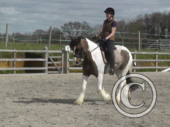 03-30-2016_113008(3)