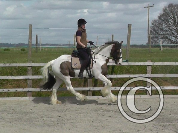 03-30-2016_113008(4)