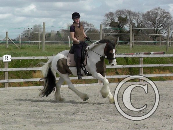 03-30-2016_113008(5)