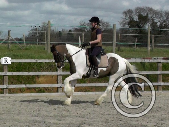 03-30-2016_113643(1)