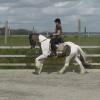 Lance dressage