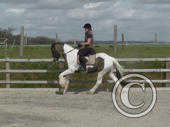 03-30-2016_113643(2)