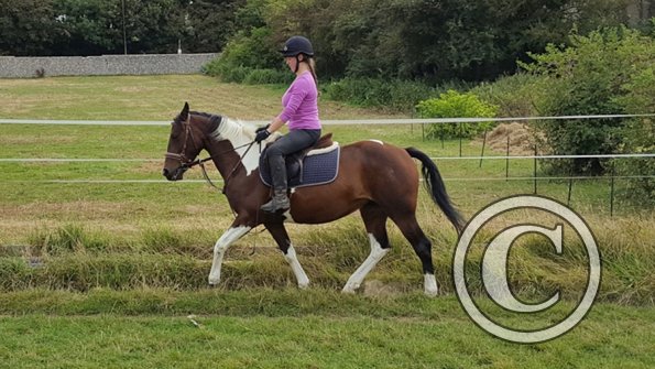 Rebecca and Mia (16)