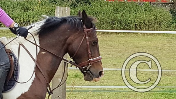 Rebecca and Mia (17)