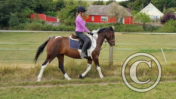 Rebecca and Mia (18)