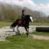 Mischa and Storm XC Comphurst (11)
