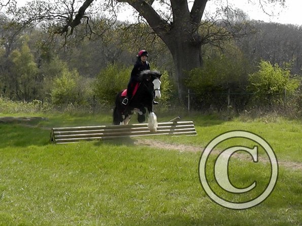 Mischa and Storm XC Comphurst (12)